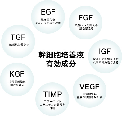 幹細胞培養液有効成分